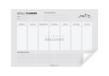 Weekly Planner – Printable PDF for Simple Weekly Planning & Productivity